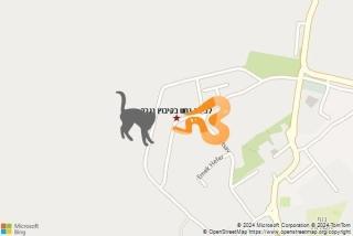 לוכד נחשים ב קיבוץ נגבה - לכידת נחש בקיבוץ נגבה