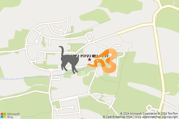 לכידת נחש בקיבוץ כישור