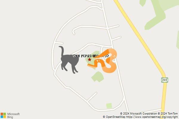לכידת נחש בקיבוץ צאלים