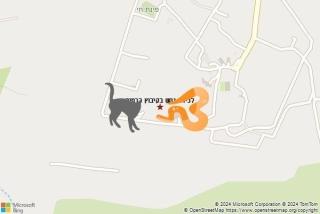 לוכד נחשים ב קיבוץ כרמיה - לכידת נחש בקיבוץ כרמיה