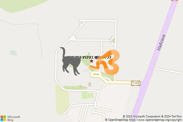 לכידת נחש בקיבוץ קטורה