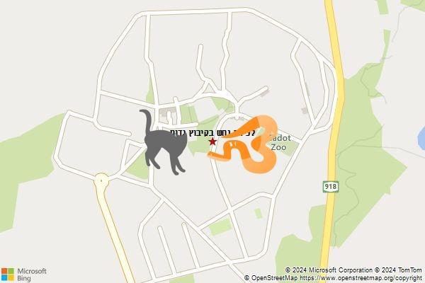 לכידת נחש בקיבוץ גדות