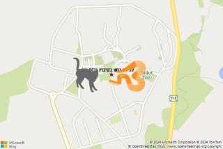 לוכד נחשים ב קיבוץ גדות - לכידת נחש בקיבוץ גדות