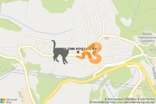 לוכד נחשים ב קיבוץ מעלה החמישה - לכידת נחש בקיבוץ מעלה החמישה