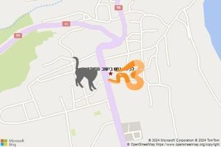 לוכד נחשים ב ישוב מסעדה - לכידת נחש בישוב מסעדה