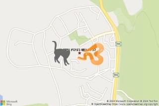 לוכד נחשים ב קיבוץ יפתח - לכידת נחש בקיבוץ יפתח