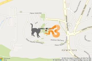 לוכד נחשים ב מתתיהו - לכידת נחש במתתיהו
