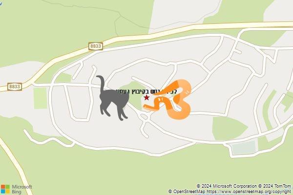 לכידת נחש בקיבוץ געתון