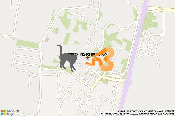 לכידת נחש בקיבוץ אפיקים