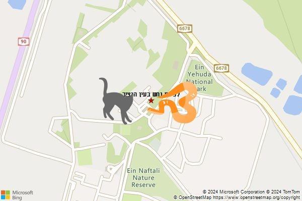 לכידת נחש בעין הנציב
