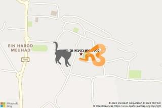 לוכד נחשים ב קיבוץ תל יוסף - לכידת נחש בקיבוץ תל יוסף