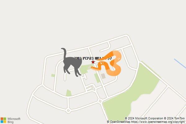 לכידת נחש בקיבוץ גשור