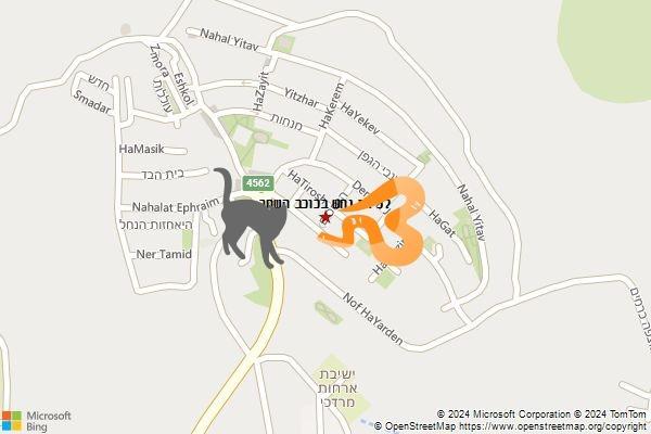 לכידת נחש בכוכב השחר