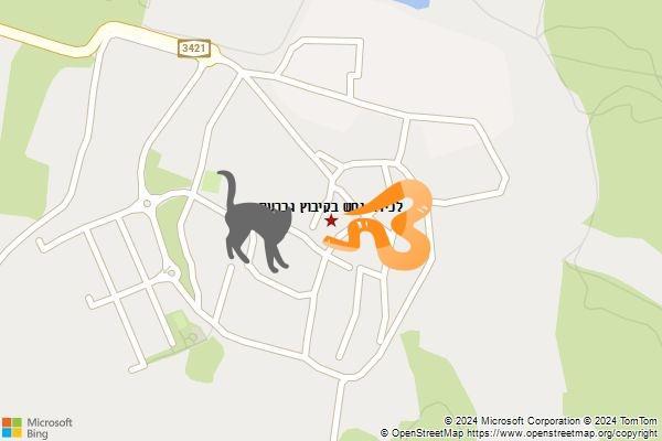 לכידת נחש בקיבוץ גברעם