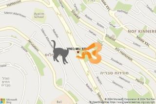 לוכד נחשים ב ספיר - לכידת נחש בספיר