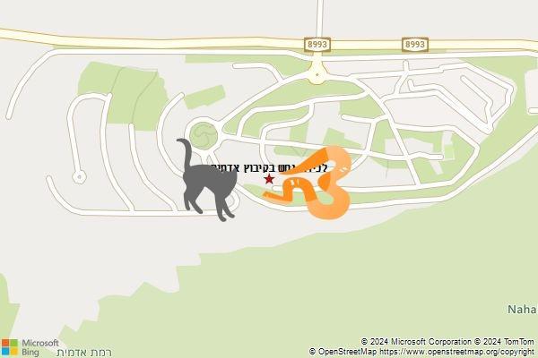 לכידת נחש בקיבוץ אדמית