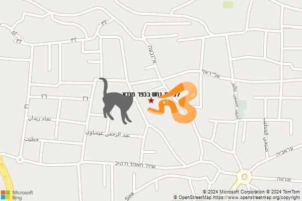 לכידת נחש בכפר מנדא