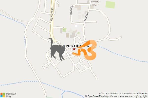 לכידת נחש בקיבוץ מגידו