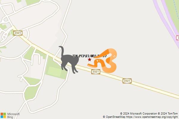 לכידת נחש בקיבוץ ארז