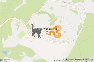 לוכד נחשים ב קיבוץ רוחמה - לכידת נחש בקיבוץ רוחמה