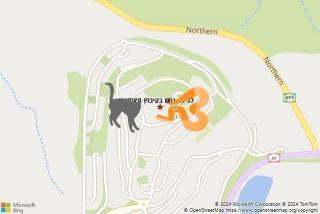 לוכד נחשים ב קיבוץ סאסא - לכידת נחש בקיבוץ סאסא