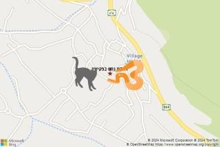 לוכד נחשים ב פקיעין - לכידת נחש בפקיעין