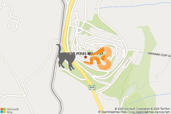 לכידת נחש בקיבוץ מנרה
