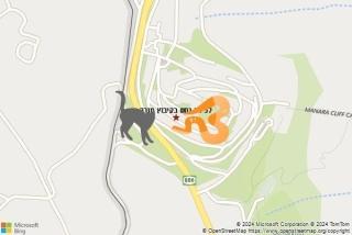 לוכד נחשים ב קיבוץ מנרה - לכידת נחש בקיבוץ מנרה