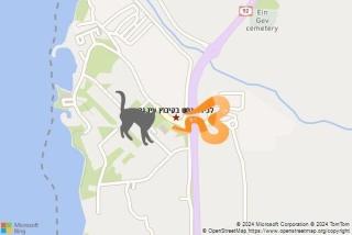 לוכד נחשים ב קיבוץ עין גב - לכידת נחש בקיבוץ עין גב