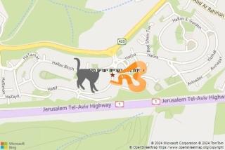 לוכד נחשים ב קריית יערים טלזסטון - לכידת נחש בקריית יערים טלזסטון