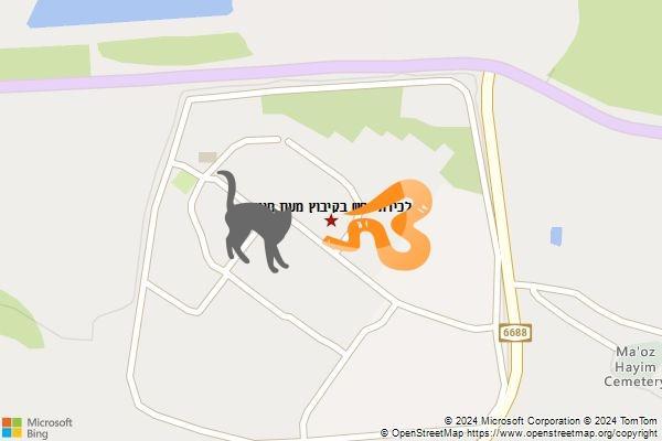 לכידת נחש בקיבוץ מעוז חיים