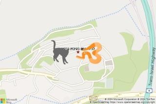 לוכד נחשים ב קיבוץ ברקאי - לכידת נחש בקיבוץ ברקאי
