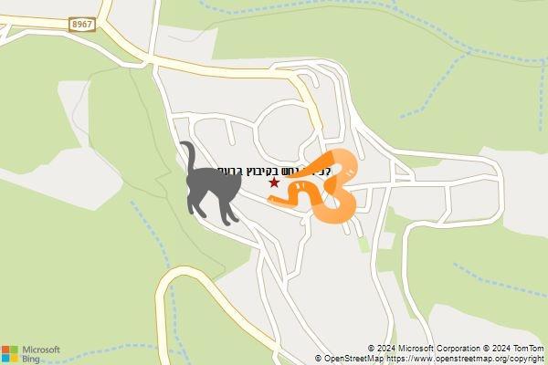 לכידת נחש בקיבוץ ברעם