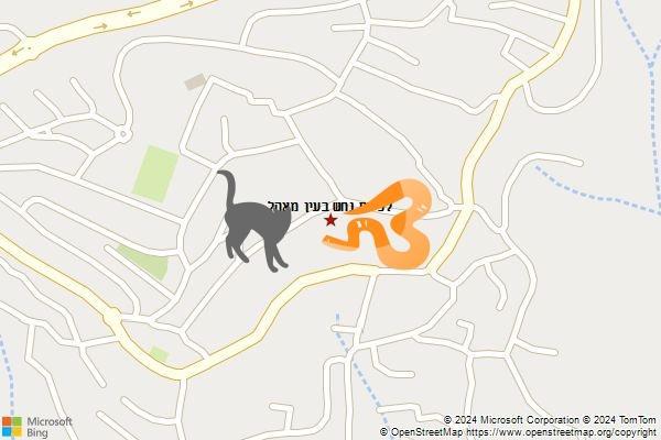 לכידת נחש בעין מאהל