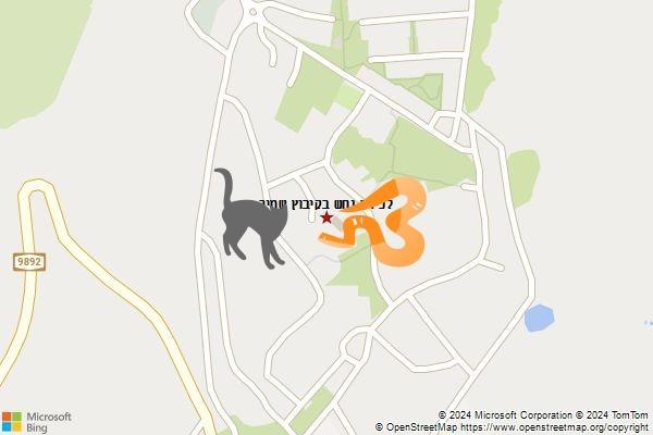 לכידת נחש בקיבוץ שמיר