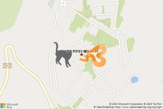 לוכד נחשים ב קיבוץ שמיר - לכידת נחש בקיבוץ שמיר