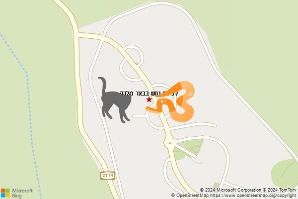 לכידת נחש בבאר מלכה