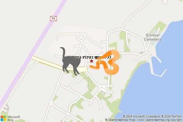 לכידת נחש בקיבוץ גינוסר
