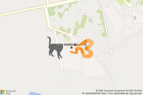 לכידת נחש בקיבוץ מסדה