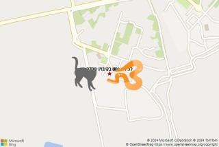 לוכד נחשים ב קיבוץ מסדה - לכידת נחש בקיבוץ מסדה