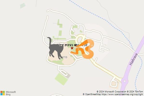 לכידת נחש בקיבוץ אילות