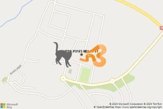 לוכד נחשים ב קיבוץ אפיק - לכידת נחש בקיבוץ אפיק
