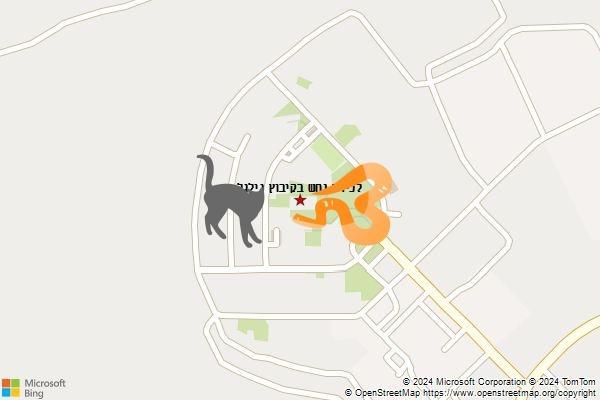 לכידת נחש בקיבוץ גילגל