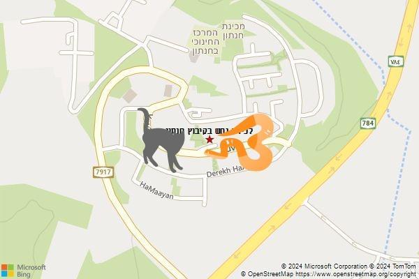 לכידת נחש בקיבוץ חנתון