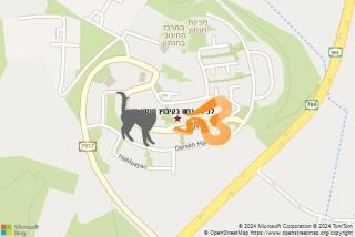 לוכד נחשים ב קיבוץ חנתון - לכידת נחש בקיבוץ חנתון