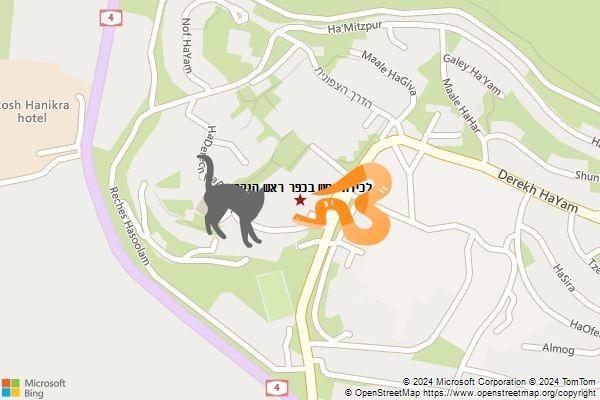 לכידת נחש בכפר ראש הנקרה
