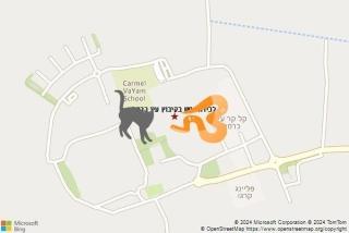 לוכד נחשים ב קיבוץ עין כרמל - לכידת נחש בקיבוץ עין כרמל