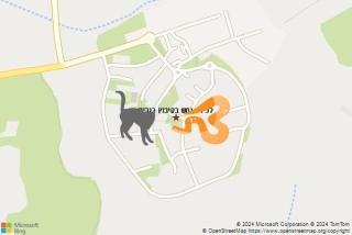 לוכד נחשים ב קיבוץ רגבים - לכידת נחש בקיבוץ רגבים