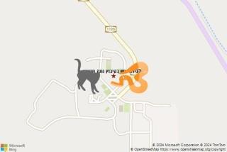 לוכד נחשים ב קיבוץ נווה חריף - לכידת נחש בקיבוץ נווה חריף