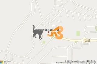 לוכד נחשים ב נתיב העשרה - לכידת נחש בנתיב העשרה